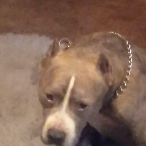 Meet your Posher, Jaden